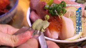 哇沙米9成山寨貨　辣根色素化學調成