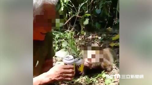 獼猴疑遭獵殺　屍還遭PO網譏笑