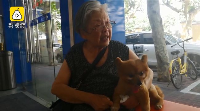 牠是我寶貝！84歲奶奶替亡兒養狗