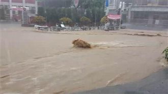 午後雷雨交加　員林馬路秒變水上樂園