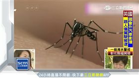 蚊子,學歷,基因,叮咬,研究