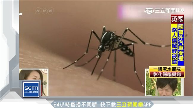 研究：學歷、身材好易成「蚊子磁鐵」