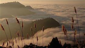 慈夢柔渡假會館