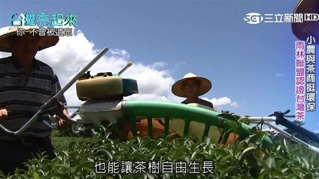 聯合利華挺環保　推國際認證台灣茶