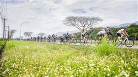 花東秘境自行車挑戰　路線兼具山海景觀