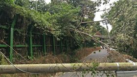 花蓮山區電桿斷擋道害停電　搶修後已恢復