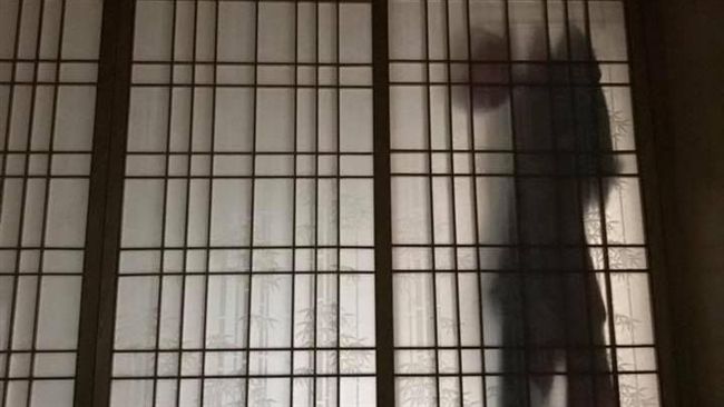 日式拉門驚見「人影」！她爆粗口⋯