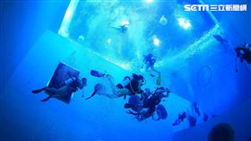 飯店,Hotels.com,七夕,單身,旅店,旅行