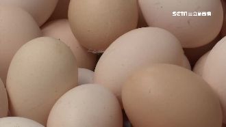 天熱母雞不下蛋　蛋價飆兩年新高