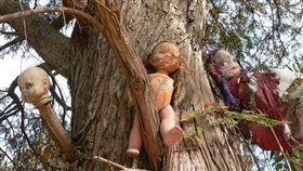 墨西哥娃娃島（圖／翻攝自娃娃島官網）