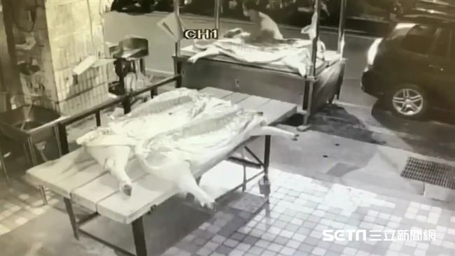 為籌醫藥費　魚販化身豬肉賊偷遍雙北