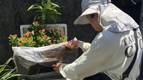 一屋清出17個斑蚊孑孓積水容器（1）針對新北市新莊區瓊林里登革熱疫情，衛福部疾管署動員前往進行病媒蚊孳生源複查，3日查獲該里某公司竟有17個有斑蚊孑孓的積水容器，顯示民眾對於登革熱防疫意識不足。（衛福部疾管署提供）中央社記者張茗喧傳真　107年8月4日