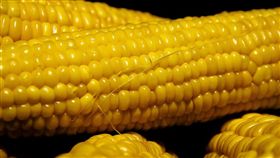 玉米,玉蜀黍（圖／翻攝pixabay）