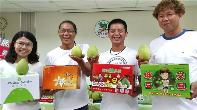用熱情栽種文旦　青農齊聚愛心義賣