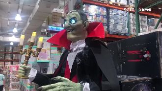 綠眼尖牙還會動　賣場驚見「吸血鬼」