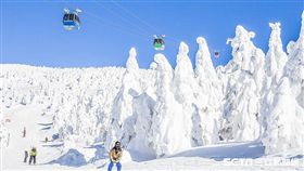 易遊網,滑雪。（圖／旅行社提供）
