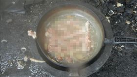 高雄,毛小孩,狗,愛心嬤,動保處,動保法。翻攝畫面