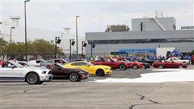 60多輛不同車型年份的Ford Mustang。（圖／Ford提供）