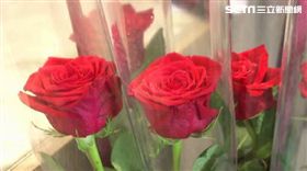 七夕、玫瑰花、花市