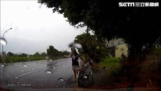 少女揮手找嬤　小黃司機急剎害人犁田