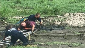 患難見真情！主人為救鳥受困　鸚鵡全程停肩膀守護　圖／翻攝臉書