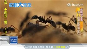 薪動大未來／興趣當飯吃　「40萬螞蟻大軍」當員工