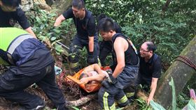 新北市,土城,中央路,山谷,健行,跌落,新北市消防局