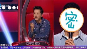 大壯，哈林（圖／翻攝自愛奇藝）