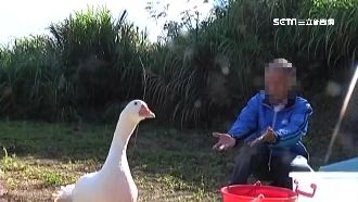 翁擁千萬財！卻遭孫女嫌：怎麼不去死