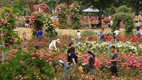 16:9
南韓 首爾大公園 서울대공원
圖／翻攝自seoulgrandpark IG
https://www.instagram.com/p/Bjotdy0g0fb/