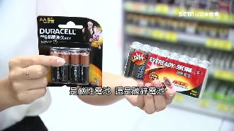 碳鋅鹼性電池怎選？電蚊拍最好用這款