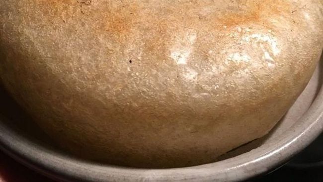 煮稀飯忘關火　竟意外做出鍋巴神料理