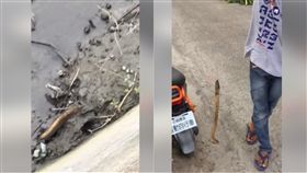鱔魚,外勞,水溝,釣魚,爆廢公社　圖／翻攝自臉書爆廢公社