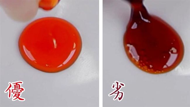 磷蝦油超夯　探索海功號遠赴南極真相