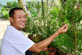 培育6年開花結果 手指檸檬可望量產