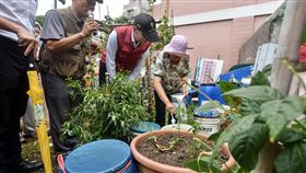 新北防治登革熱　除蚊重點清蟲卵