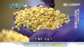 約談宗憲.子1200