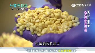 重現與外婆的回憶！綠豆蒜冰紅到日本