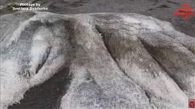 俄羅斯,海怪,屍體（圖／翻攝自YouTube）