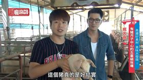 本集將介紹一系列高雄超巨大和超迷你的美食，主持人享用美食的過程中還有隱藏版任務，鮪魚和斯亞組成香香美少女隊，聯手對抗老奸巨猾的鐘哥!主持人享用美食的過程中還有隱藏版任務，大高雄好料一道接一道!