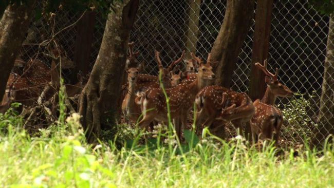 除了沙灘比基尼！墾丁改用這招拚翻轉