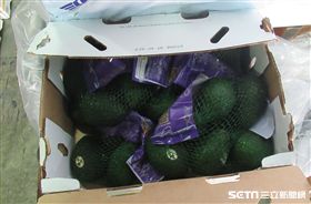 食藥署今（31）日公布邊境查驗結果，好市多自美國進口「INDEX FRESH酪梨(FRESH AVOCADO)」檢出重金屬鎘超標。（圖／食藥署提供）