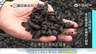 棕櫚殼大翻身！廢棄果殼成能源新寵兒