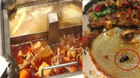 女子稱在海底撈吃到蟑螂，求償450萬台幣，店家傻眼報警。（圖／資料照、澎湃新聞）