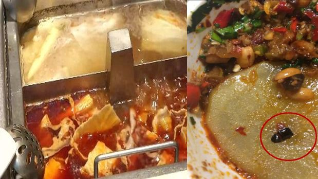 女稱醬料有蟑螂　要海底撈賠450萬