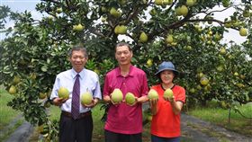 妻曾遭農藥毒暈　柚農轉型有機栽培成功