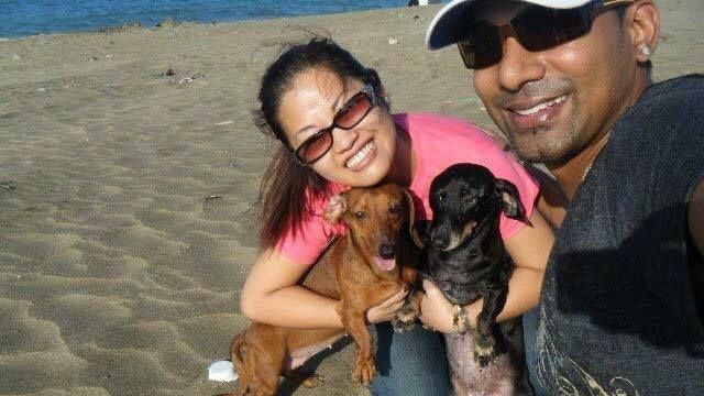 護主抵抗兇嫌？忠犬鼻子一道刀傷！