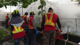 台中市衛生局,本土登革熱,開心農場,登革熱