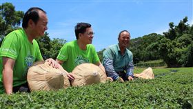 桃園自在遊,踏青,桃園,楊梅,客家