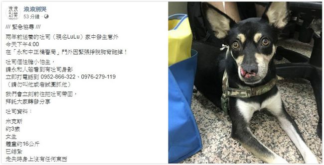 協尋！主人遭殺害分屍　忠犬掙脫失蹤